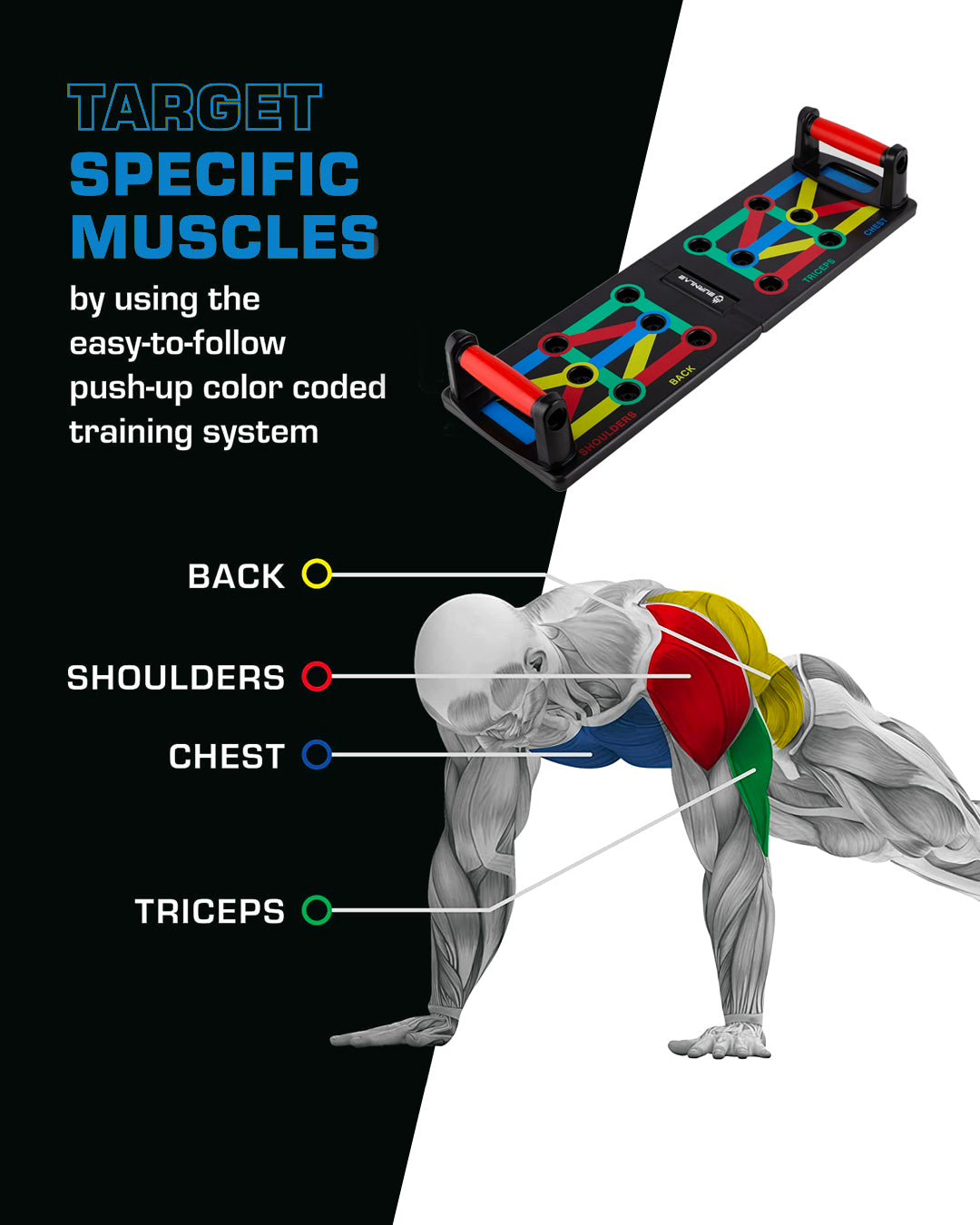 Push Up Board - Burnlab.Co