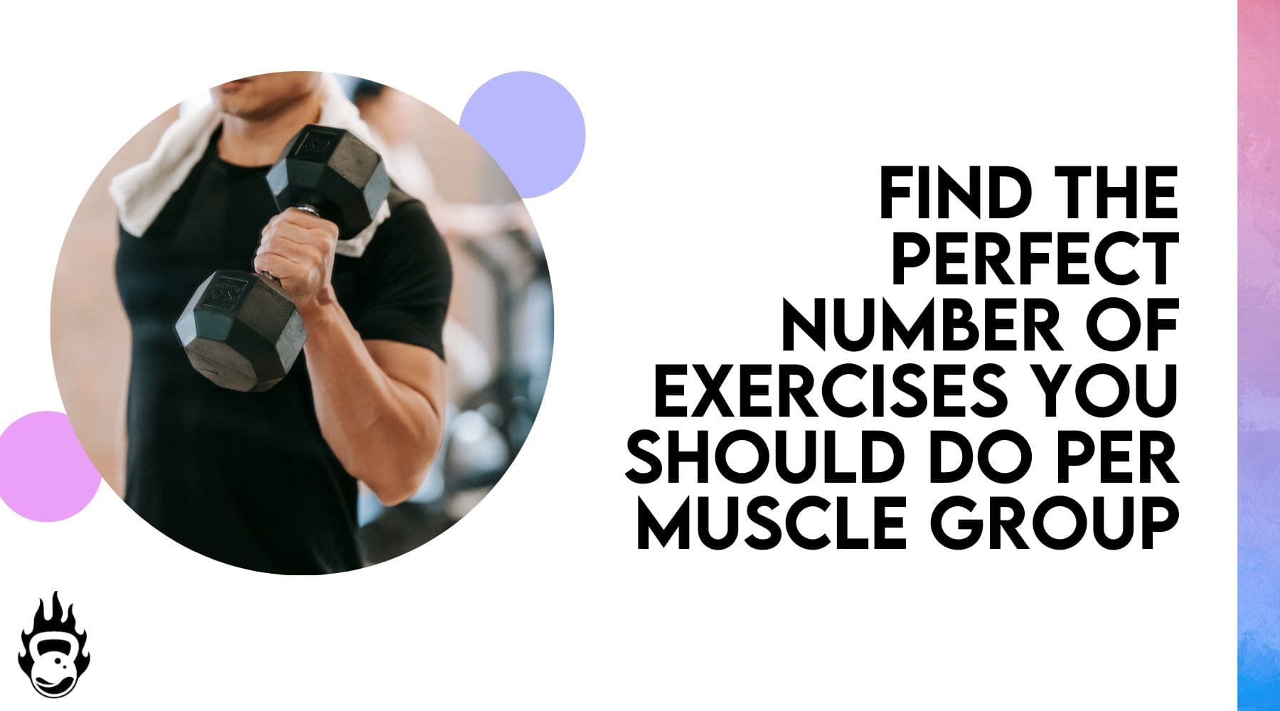 how many exercises per body part