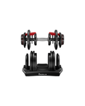 Home Workout